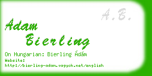 adam bierling business card