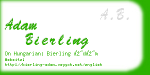 adam bierling business card